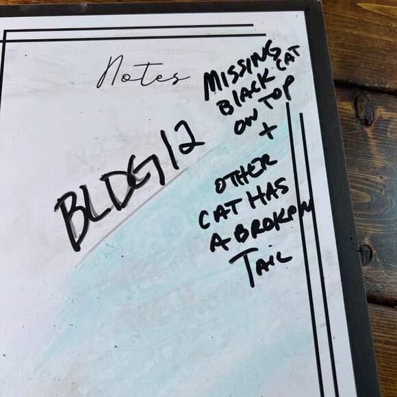 Lemax Zelda's Witch & Wizard Supply House Halloween Village WITH LIGHT WORKS - Picture 15 of 16